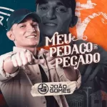 Download música Meu Pedaço de Pecado - João Gomes (2021) grátis