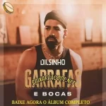 Download CD Dilsinho – Garrafas e Bocas, Parte 4 (2021) grátis