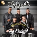 Download CD Pra Valer – Na Medida (2015) grátis