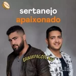 Download CD Sertanejo Apaixonado - Janeiro (2022) grátis