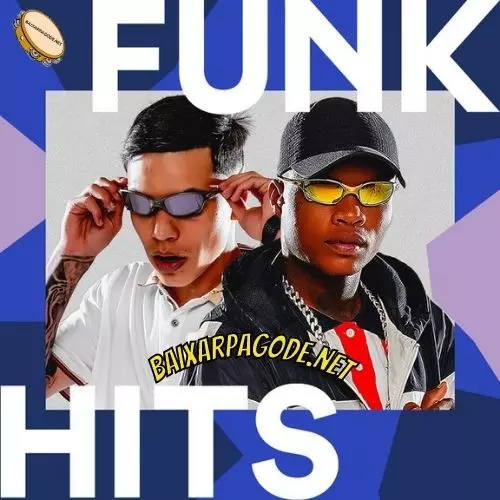Download CD Funk Hits – Fevereiro (2022) grátis