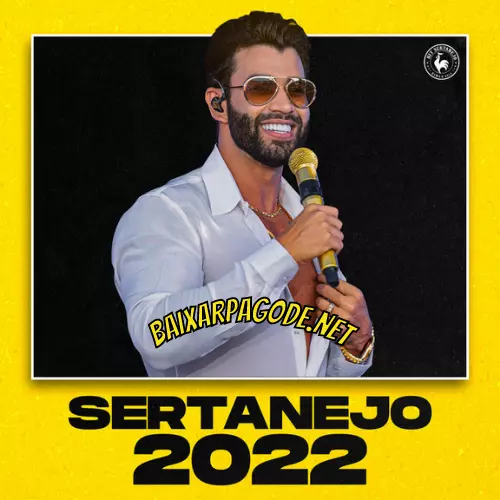 Download CD Hit Sertanejo (2022) grátis
