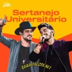 Download CD Sertanejo Universitário (2022) grátis