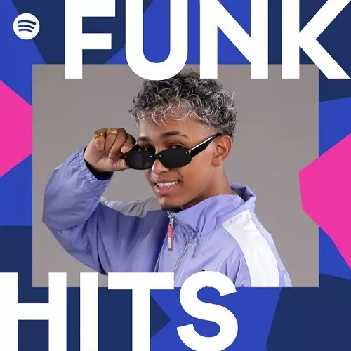 Download CD Funk Hits - Maio (2023) grátis