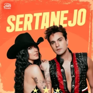 Download CD Top Sertanejo (2024) grátis