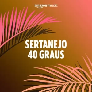 Download CD Sertanejo 40 Graus (2024) grátis