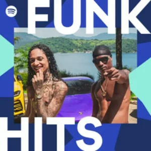 Download CD Funk Hits – Março (2024) grátis