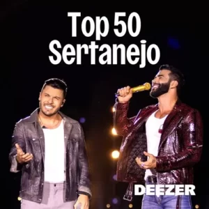 Download CD TOP 50 Sertanejo - Junho (2024) grátis